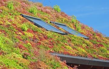 Berkeley living roof systems
